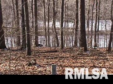 Lot 90 Lot Ridge Goreville, IL 62939 - Photo 3 of 3