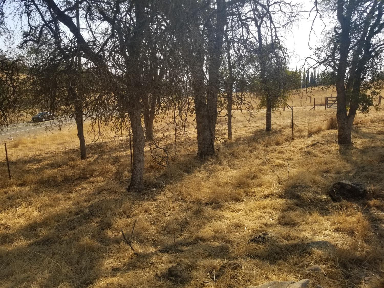 32401 George Smith Road Squaw Valley, CA 93675 - Photo 11 of 21 Gallery Image 11