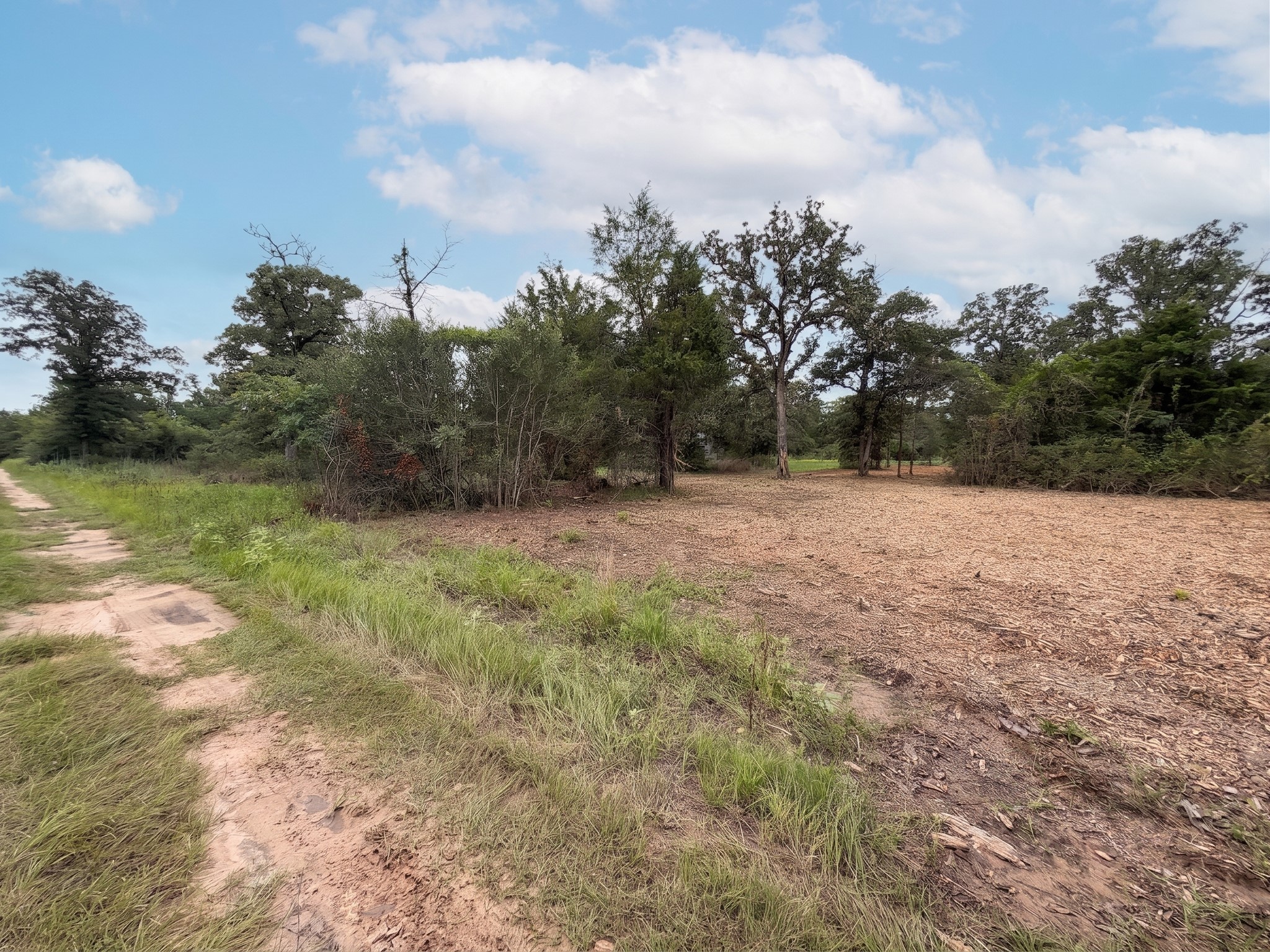 3428 (2.528 Acres In Lin Luce Ranches Milano, TX 76556 - Photo 16 of 23 A spacious, cleared lot with mature trees offers a blank canvas for your dream property.