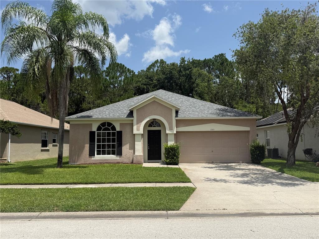 12521 Sparkleberry Road Tampa, FL 33626 - Photo 1 of 41