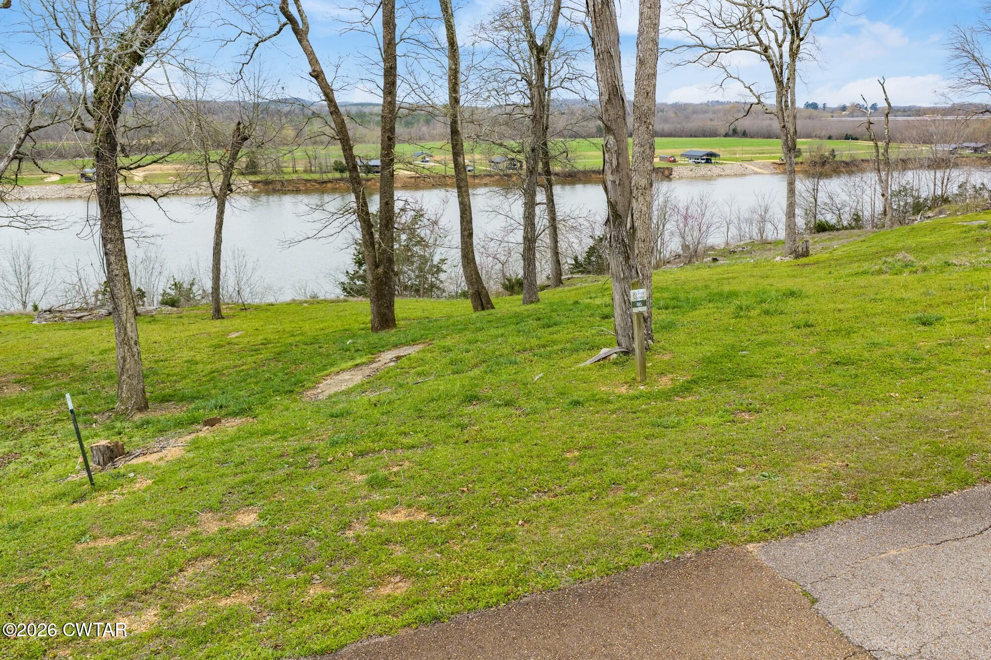 Lot 46 Adam Loop Bath Springs, TN 38311 - Photo 7 of 22 a view of yard with swimming pool