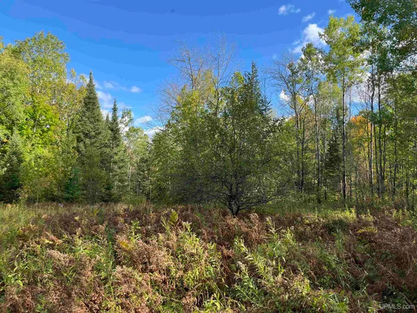 $36,900 | T-wi Wi 54542 Highway, Long Lake, WI 54542