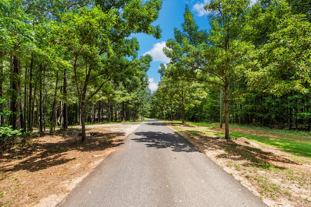 877 McKee Road Waverly Hall, GA 31831 - Photo 51 of 71 Gallery Image 51