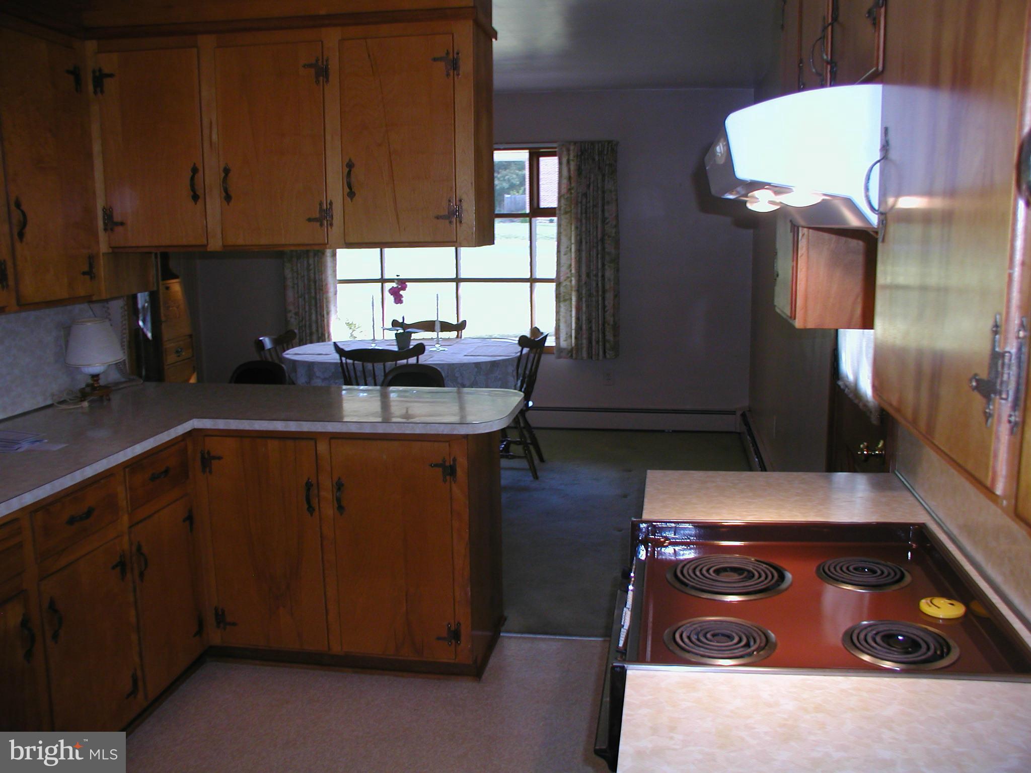 8834 Yellow Springs Road Frederick, MD 21702 - Photo 15 of 24 a kitchen with wooden cabinets and sink
