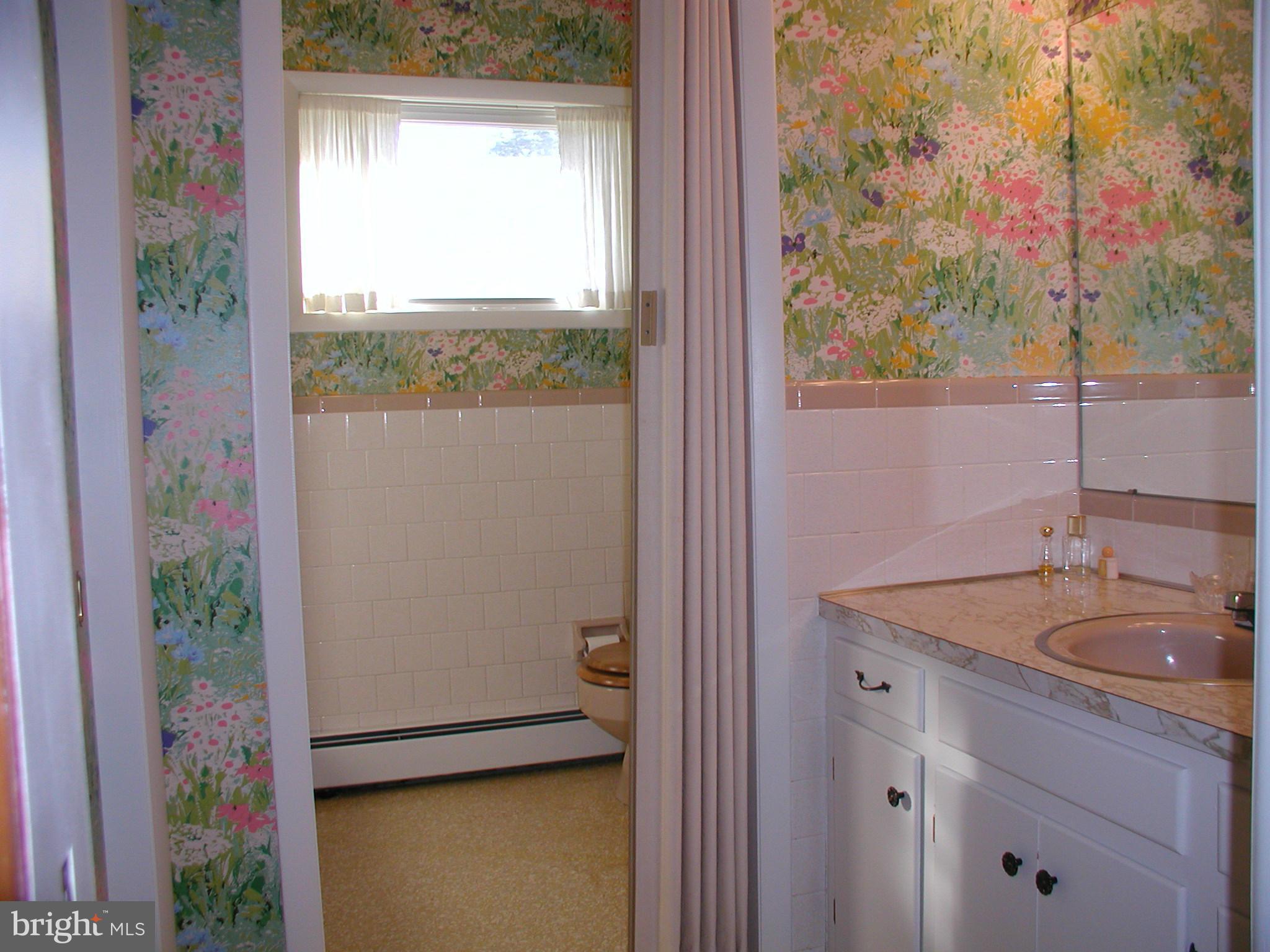 8834 Yellow Springs Road Frederick, MD 21702 - Photo 18 of 24 a bathroom with a sink a mirror and a shower