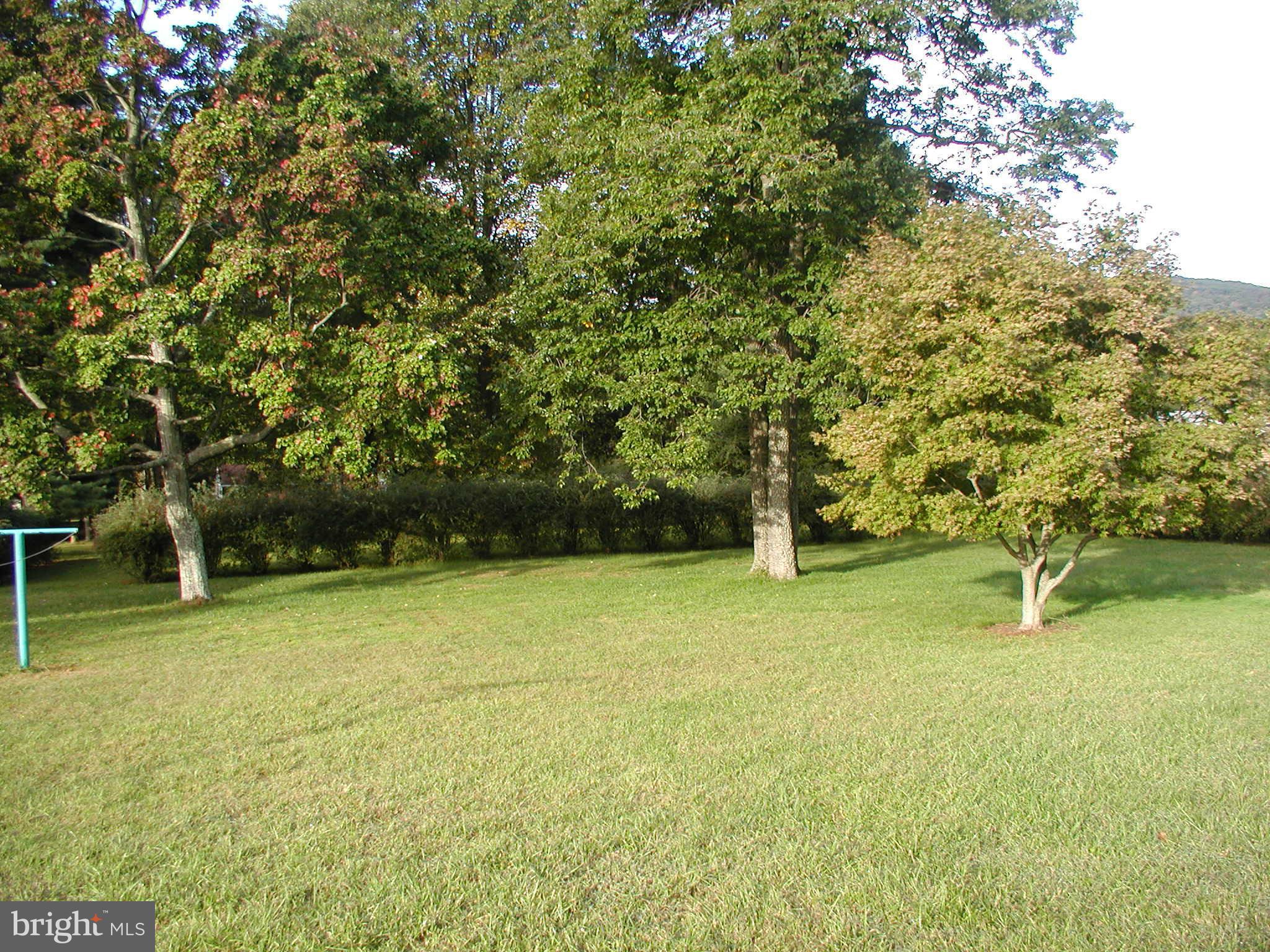 8834 Yellow Springs Road Frederick, MD 21702 - Photo 4 of 24 a view of a yard with a trees
