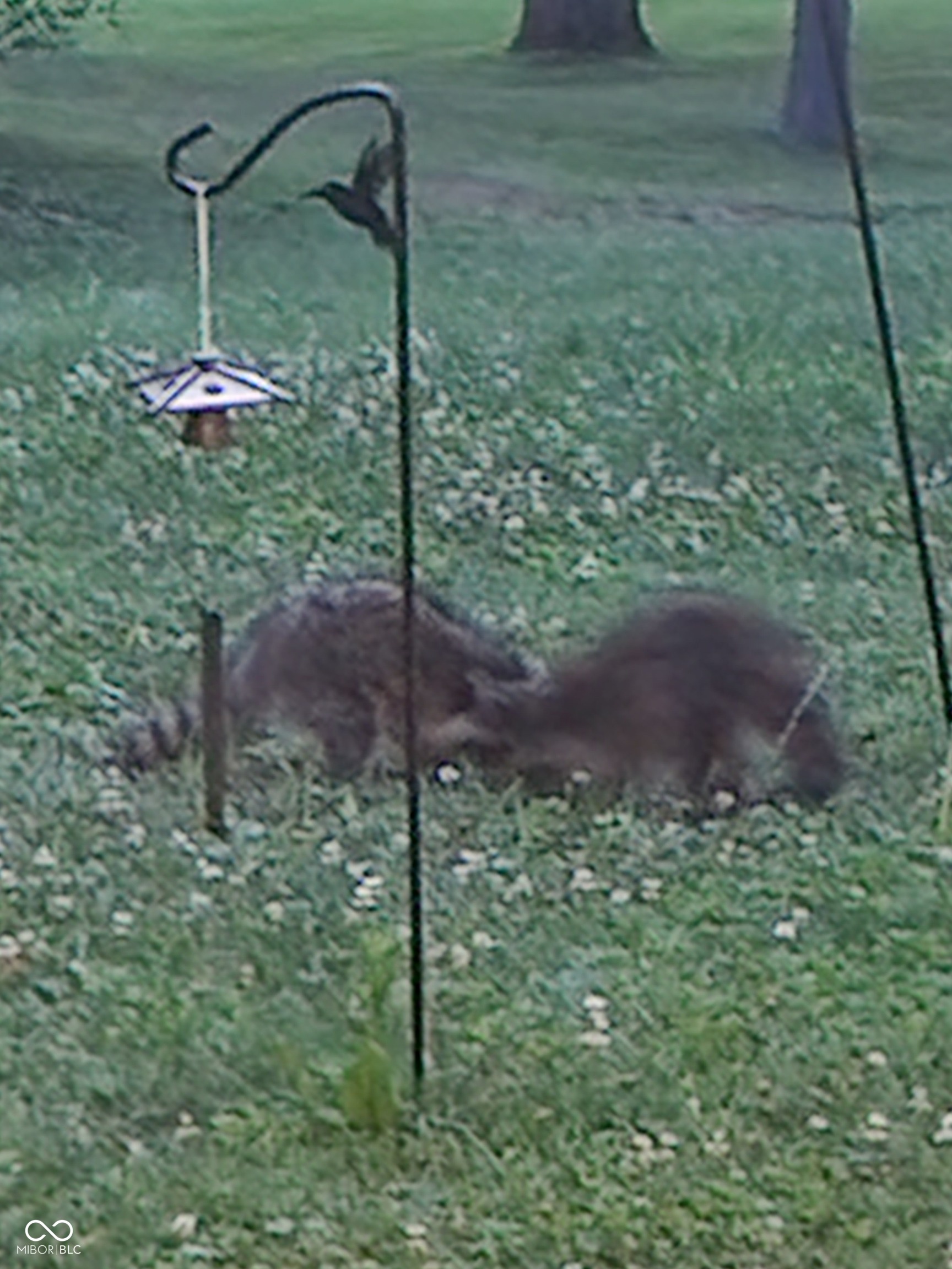 3232 Pinecrest Road Indianapolis, IN 46234 - Photo 30 of 34