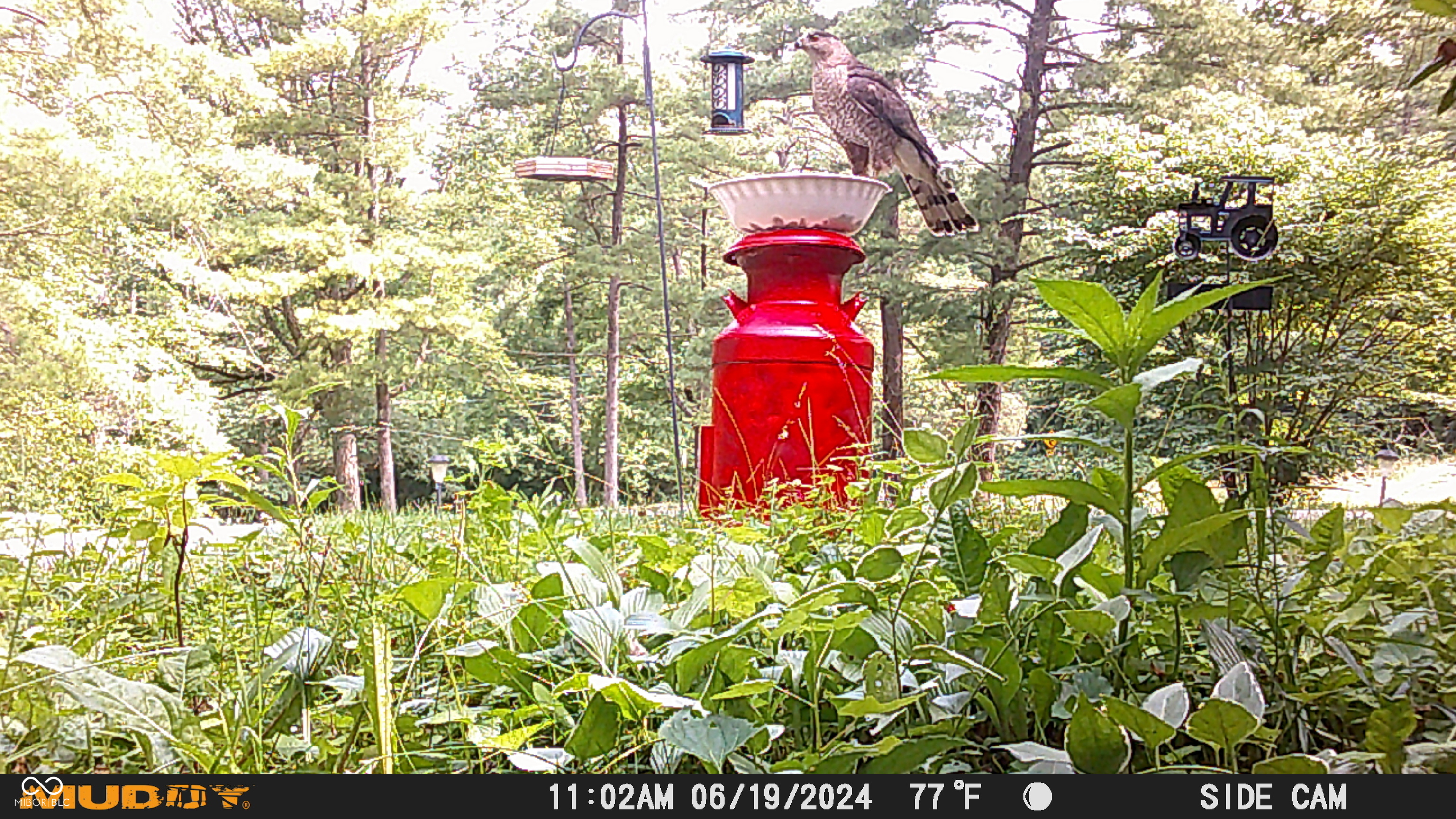 3232 Pinecrest Road Indianapolis, IN 46234 - Photo 31 of 34