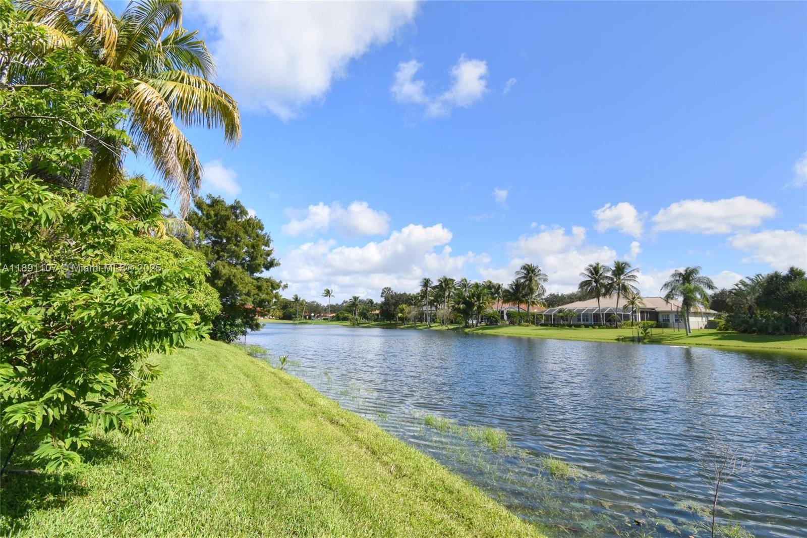 4240 Southwest 131st Avenue Davie, FL 33330 - Photo 43 of 47 a view of a lake with houses in the back