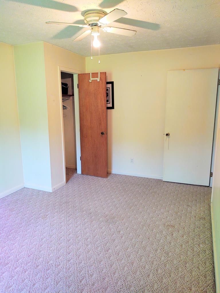 507 Heidel Road Wartburg, TN 37887 - Photo 11 of 20 Gallery Image 11
