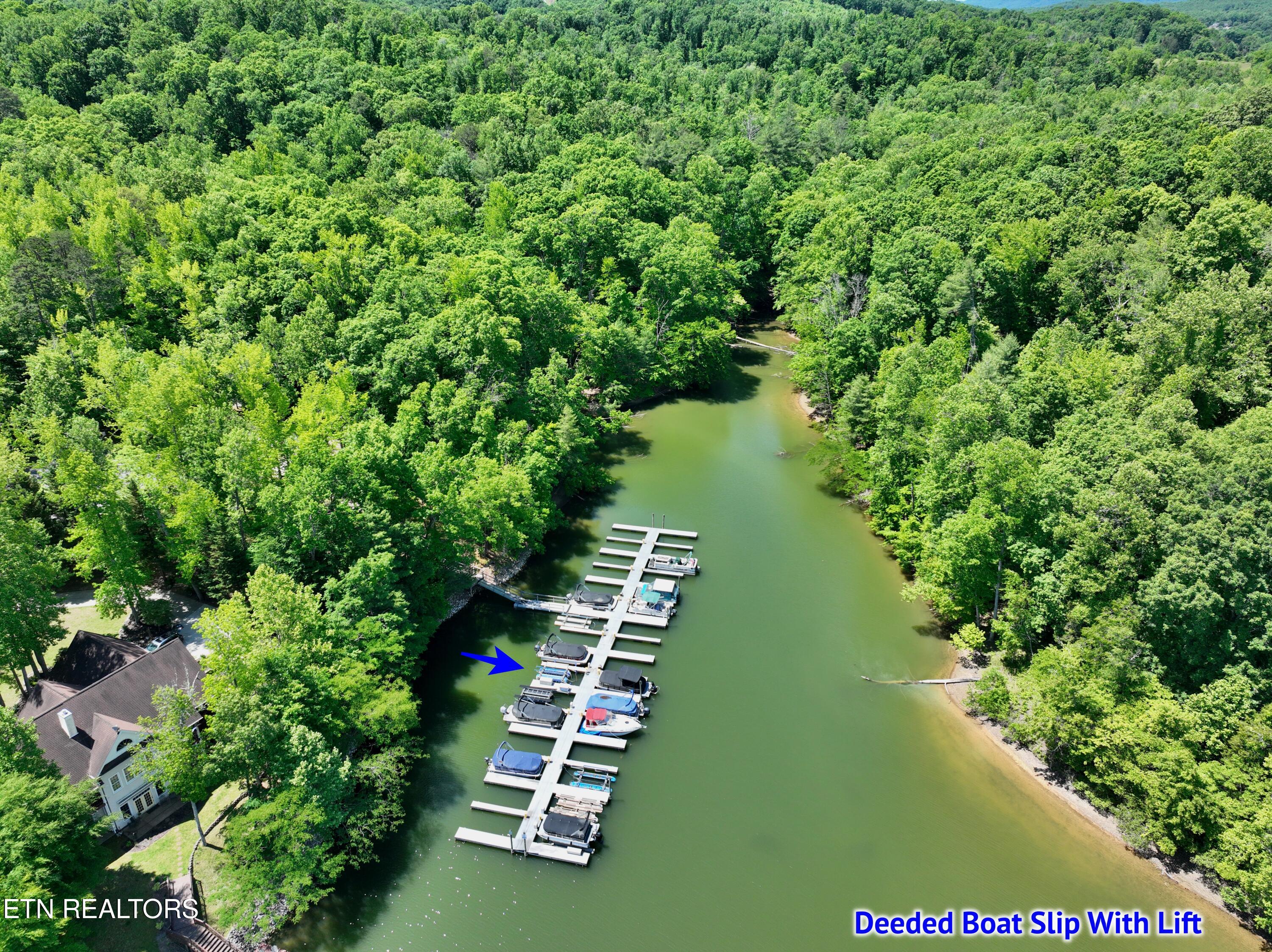 0 Flint Ridge Road Rockwood, TN 37854 - Photo 30 of 37 DJI_0617