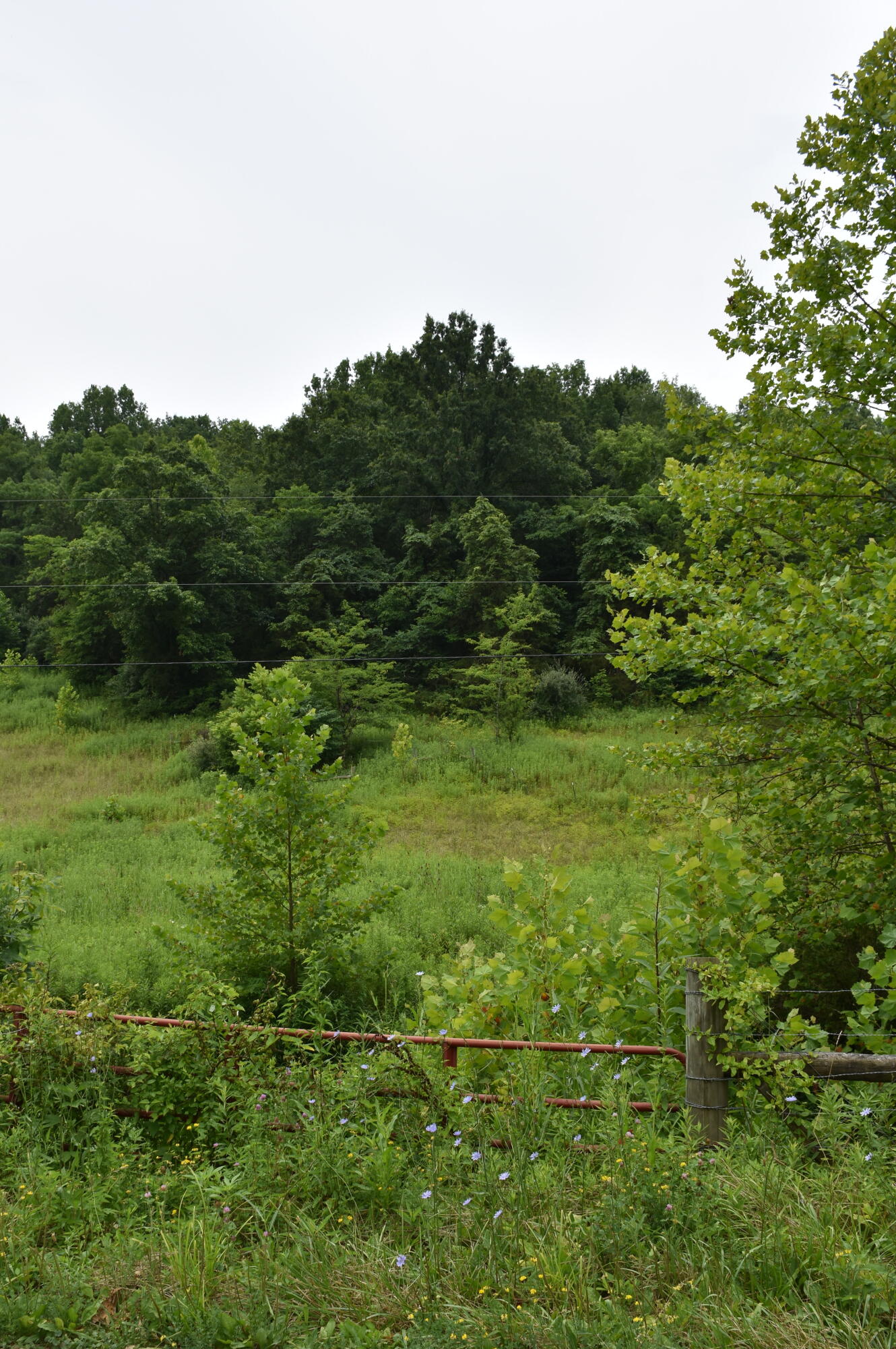 1540 Snag Creek Road Foster, KY 41043 - Photo 9 of 11