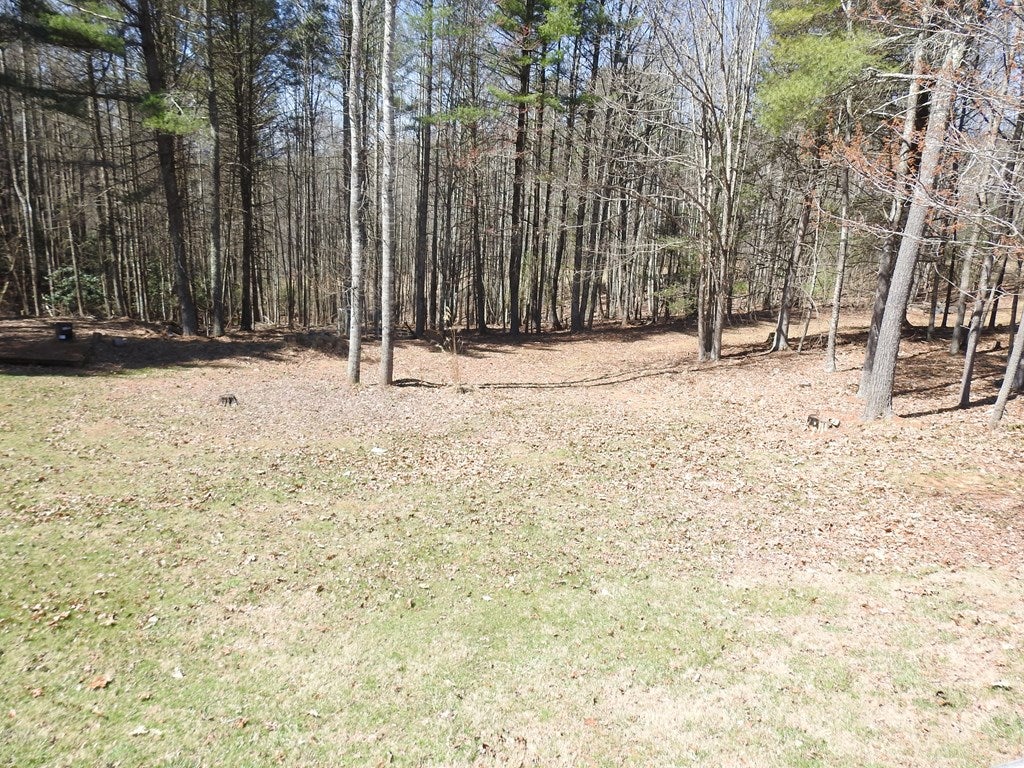 3185 Fries Road Galax, VA 24333 - Photo 34 of 38 Gallery Image 34