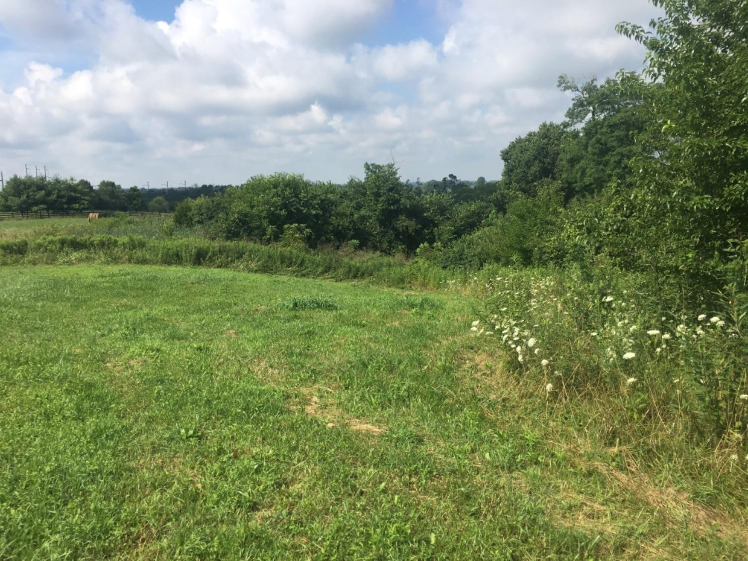 400 Oldson Road Paris, KY 40361 - Photo 15 of 73 Photo 15