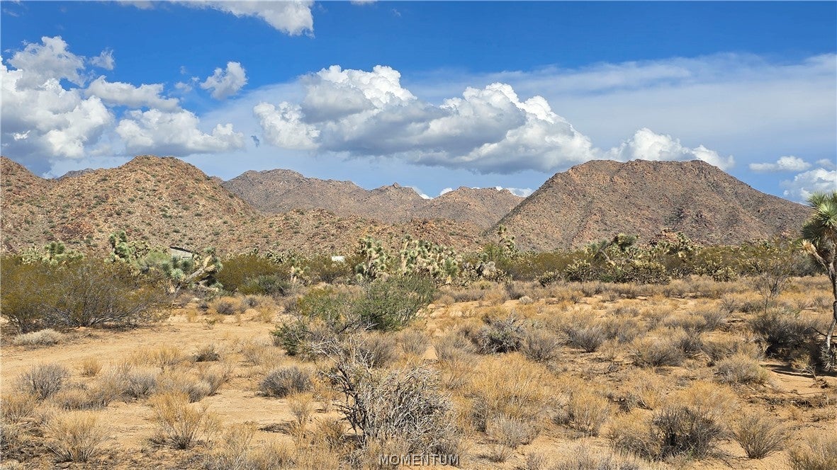208-27-196d South Kinard Road Yucca, AZ 86438 - Photo 26 of 29 Gallery Image 26