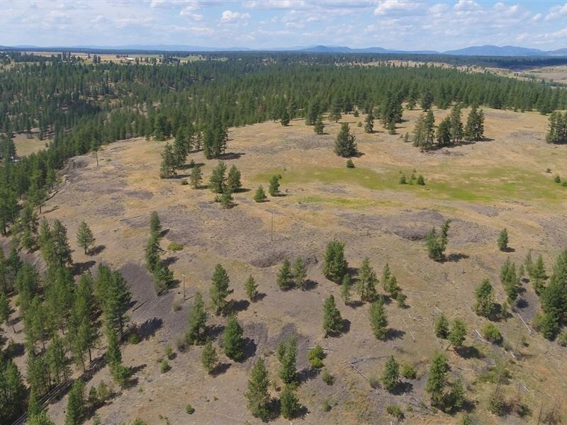 13510 West Euclid Road Spokane, WA 99224 - Photo 14 of 19