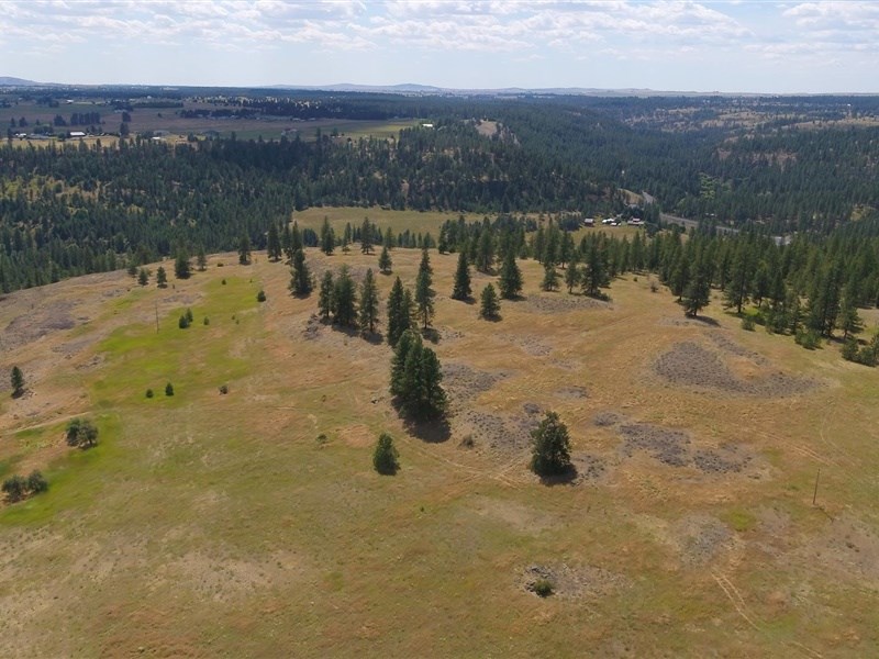 13510 West Euclid Road Spokane, WA 99224 - Photo 16 of 19