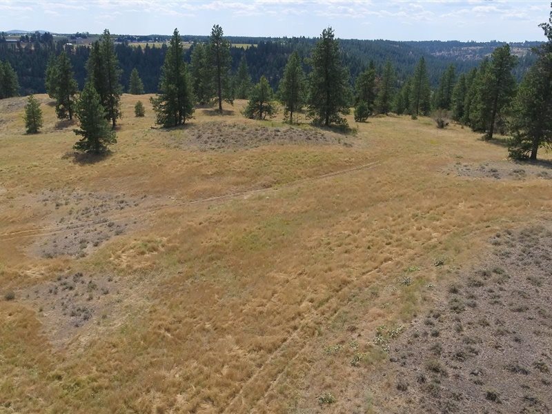 13510 West Euclid Road Spokane, WA 99224 - Photo 17 of 19