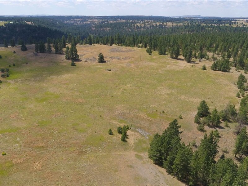 13510 West Euclid Road Spokane, WA 99224 - Photo 8 of 19