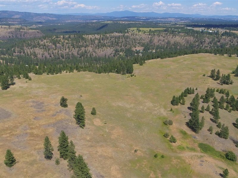 13510 West Euclid Road Spokane, WA 99224 - Photo 10 of 19