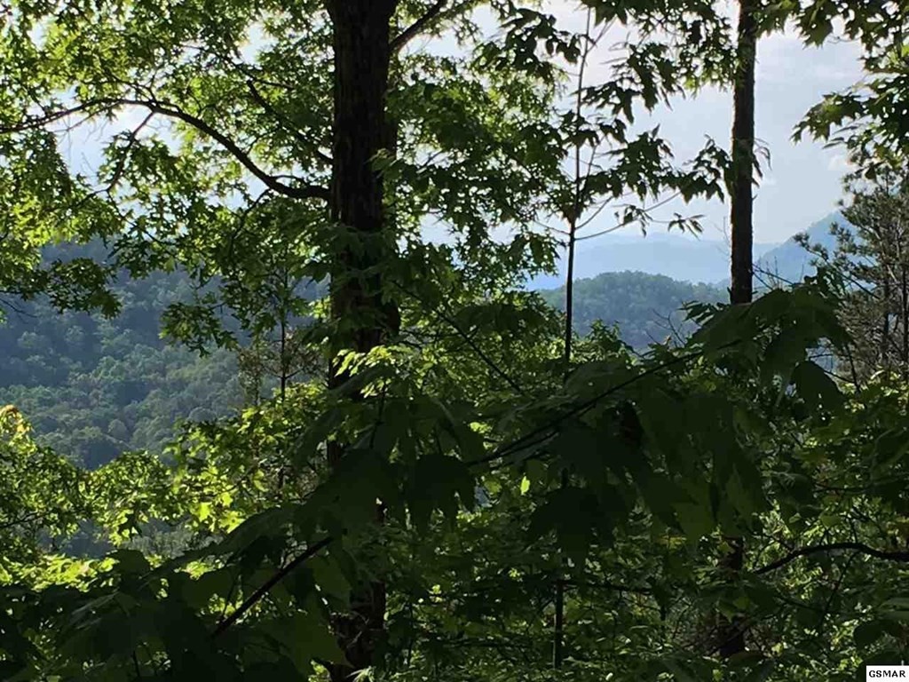 30 Ridgeback Lane Sevierville, TN 37862 - Photo 14 of 34