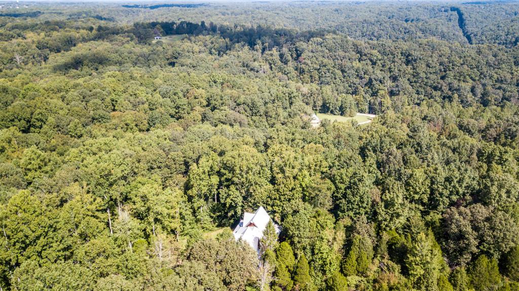 7833 Fernvale Road Fairview, TN 37062 - Photo 3 of 30 a view of a bunch of trees and bushes