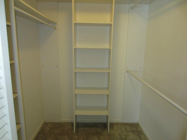 253 Puritan Road West Palm Beach, FL 33405 - Photo 25 of 43 2ND BEDROOM WALK IN CLOSET