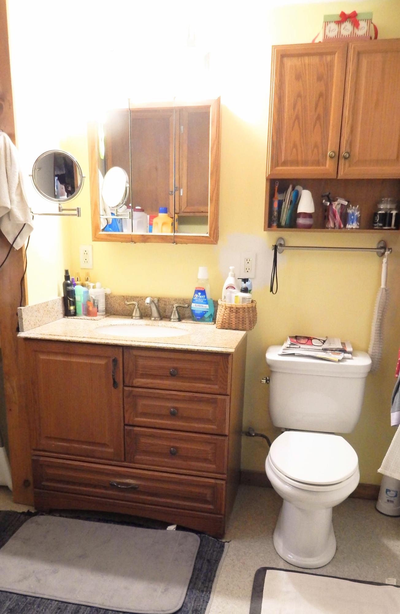 102 Stanchfield Ridge Road Milo, ME 04463 - Photo 16 of 21 DSCN6311
