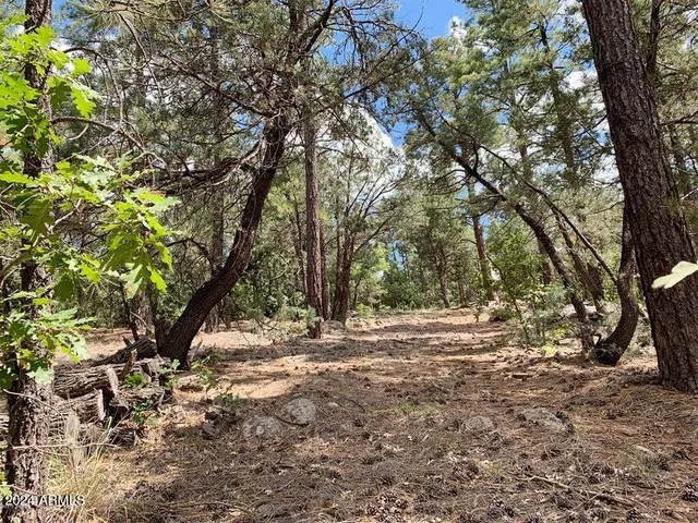 $150,000 | 953 Miramon Drive, Unit 199D, Lakeside, AZ 85929