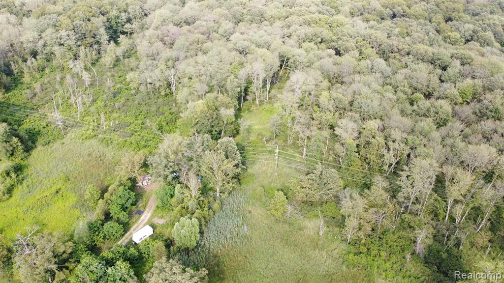 4311 Pinckney Road Howell, MI 48843 - Photo 8 of 14