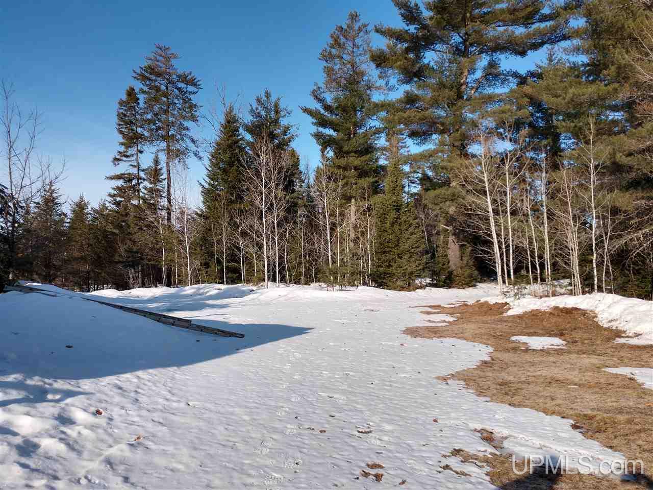 39-acres 39-acres Co Road Ishpeming, MI 49849 - Photo 33 of 39