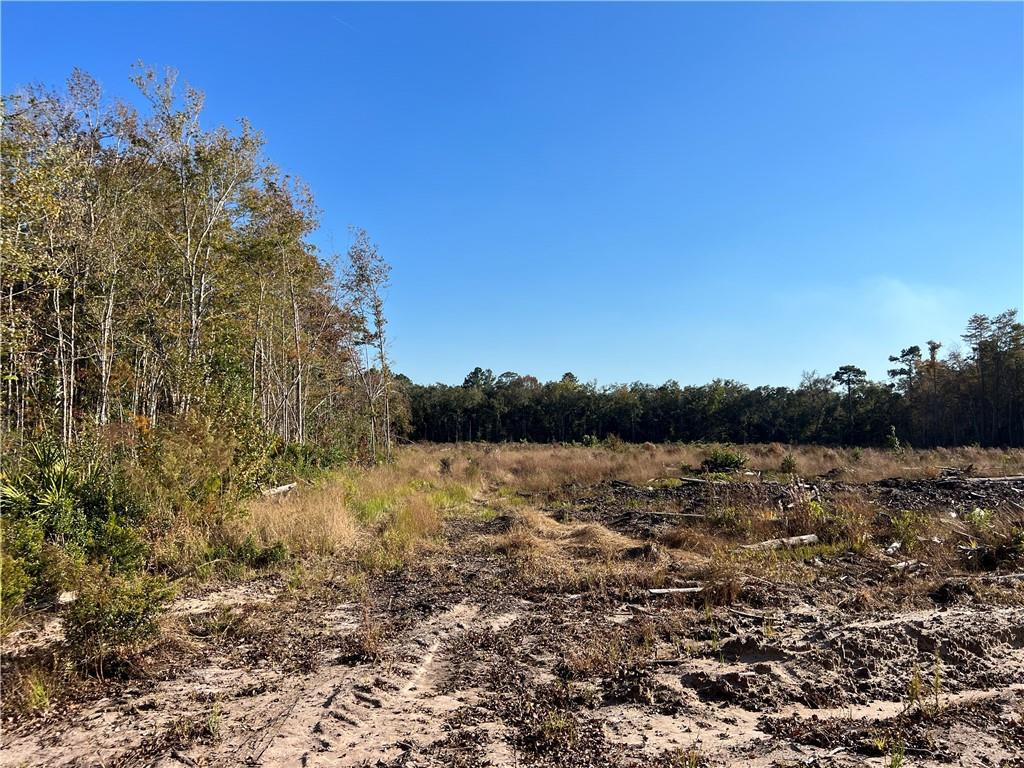 99 Highway 99 Townsend, GA 31331 - Photo 14 of 36