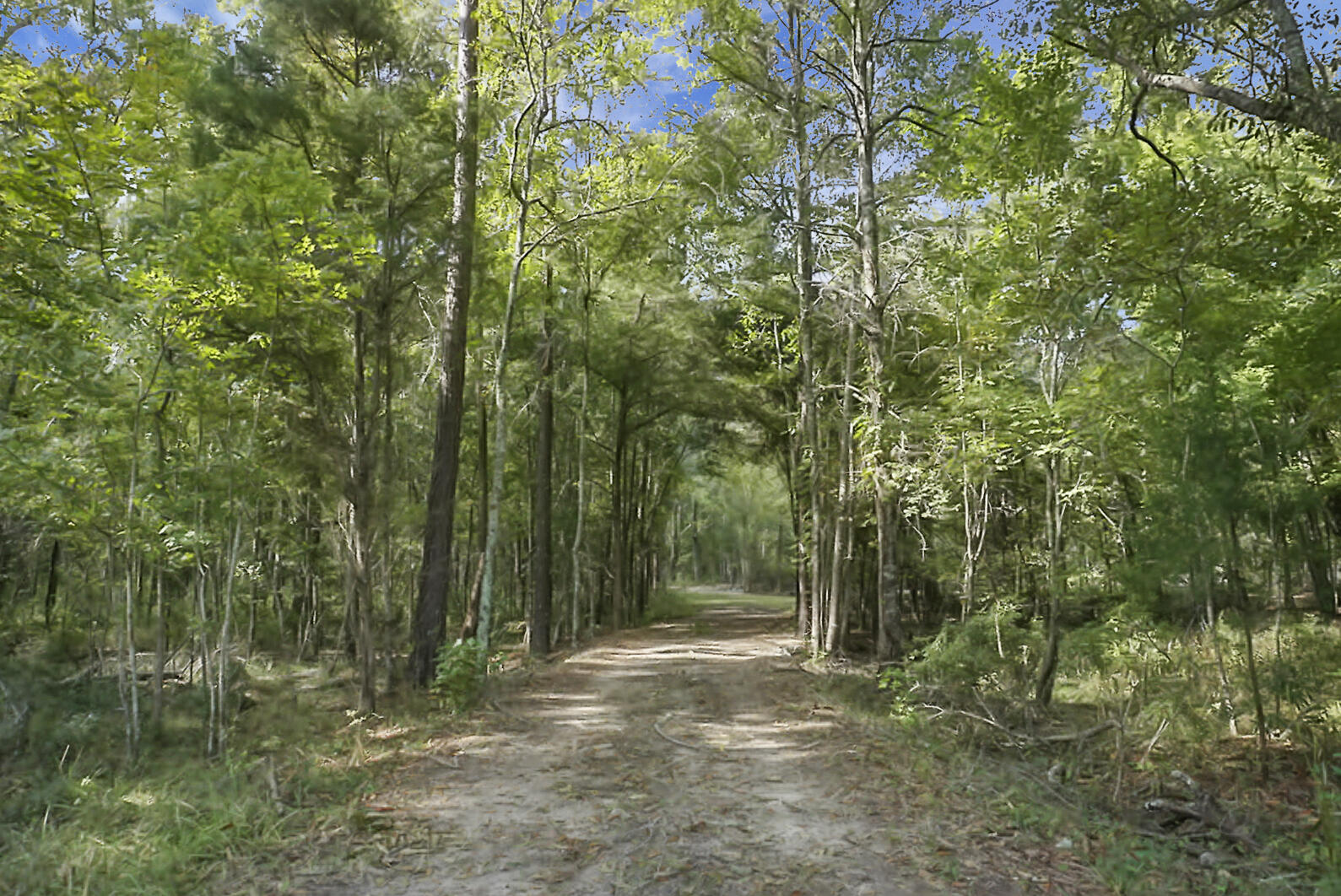 1723 Hoodtown Road St. Stephen, SC 29479 - Photo 63 of 92 DSC02801