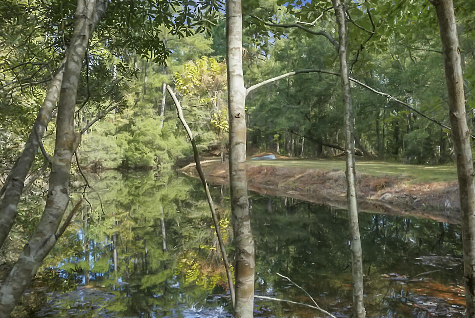 1723 Hoodtown Road St. Stephen, SC 29479 - Photo 66 of 92 DSC02813