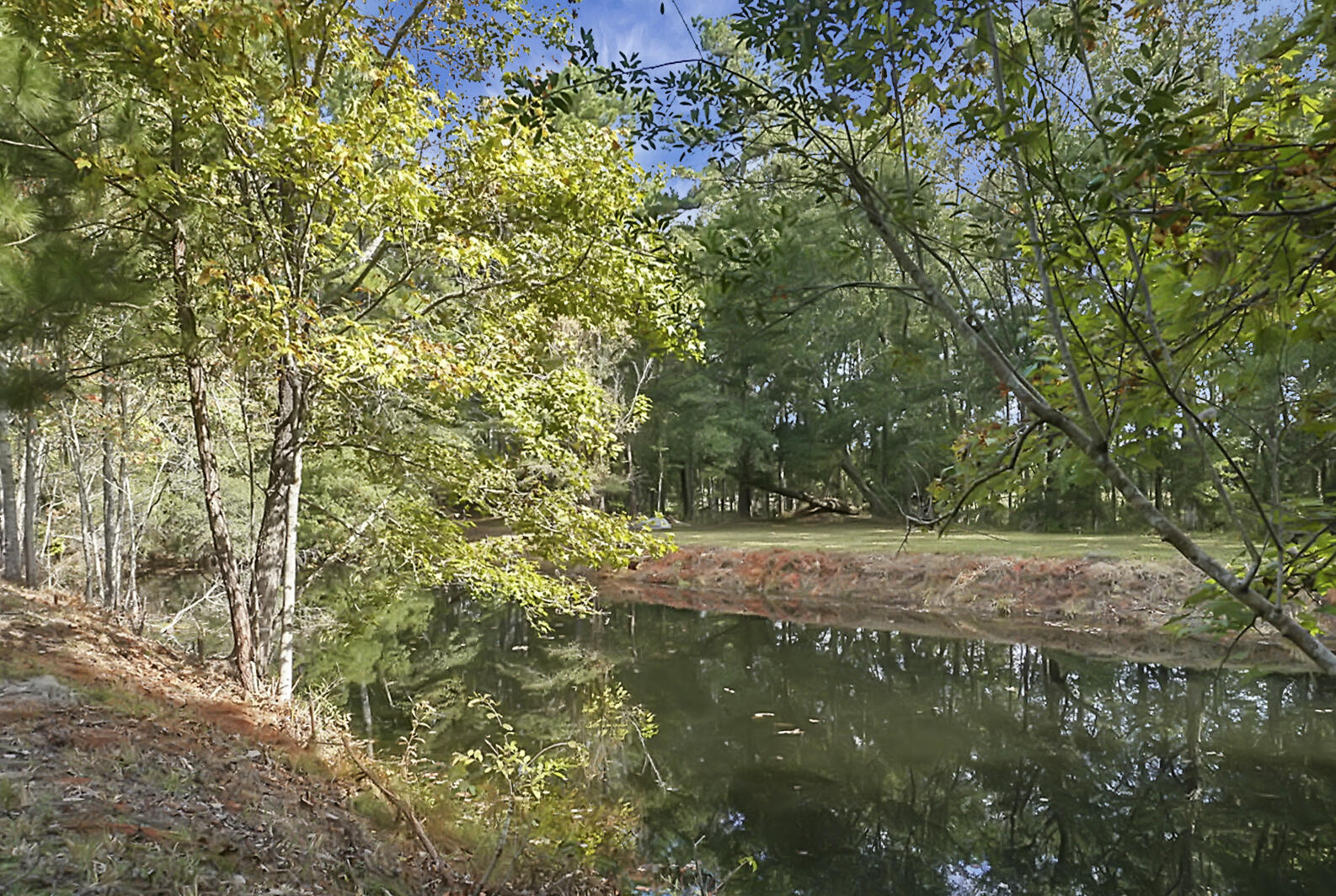 1723 Hoodtown Road St. Stephen, SC 29479 - Photo 67 of 92 Great Fishing