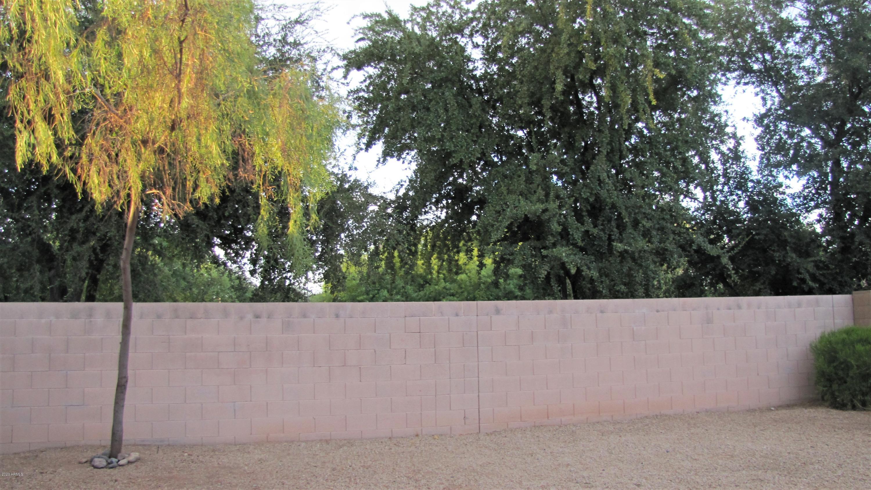 16086 West Calavar Road Surprise, AZ 85379 - Photo 26 of 28 a view of outdoor space and garden