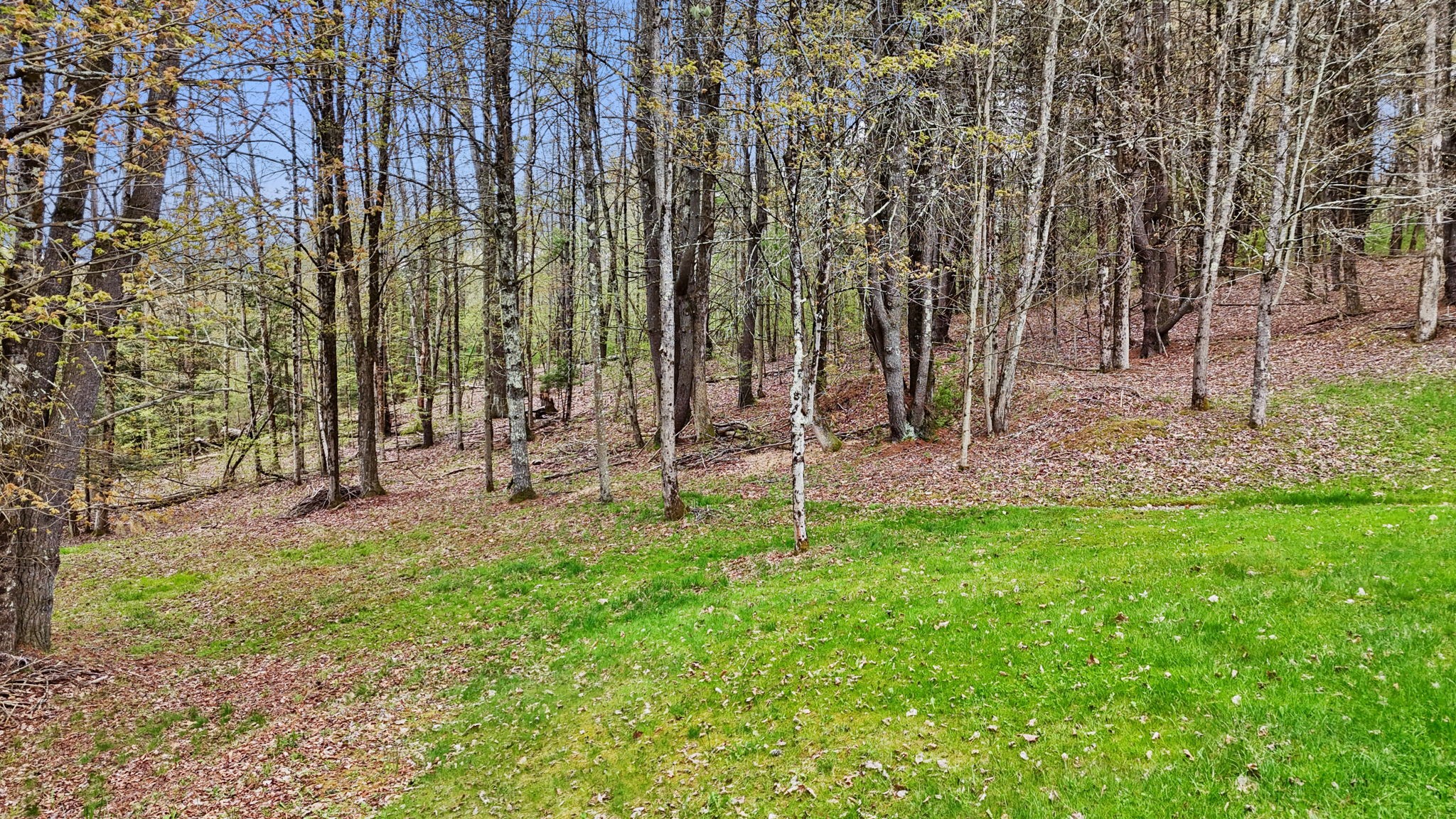 960 Long Creek Road Apalachin, NY 13732 - Photo 39 of 42