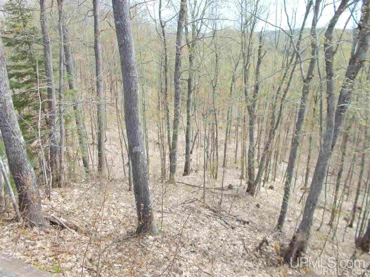 80-acres Triple A Road Ishpeming, MI 49849 - Photo 21 of 28