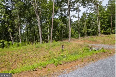 $125,000 | Lot 314 Pebble Trace, Unit 314, Talking Rock, GA 30175