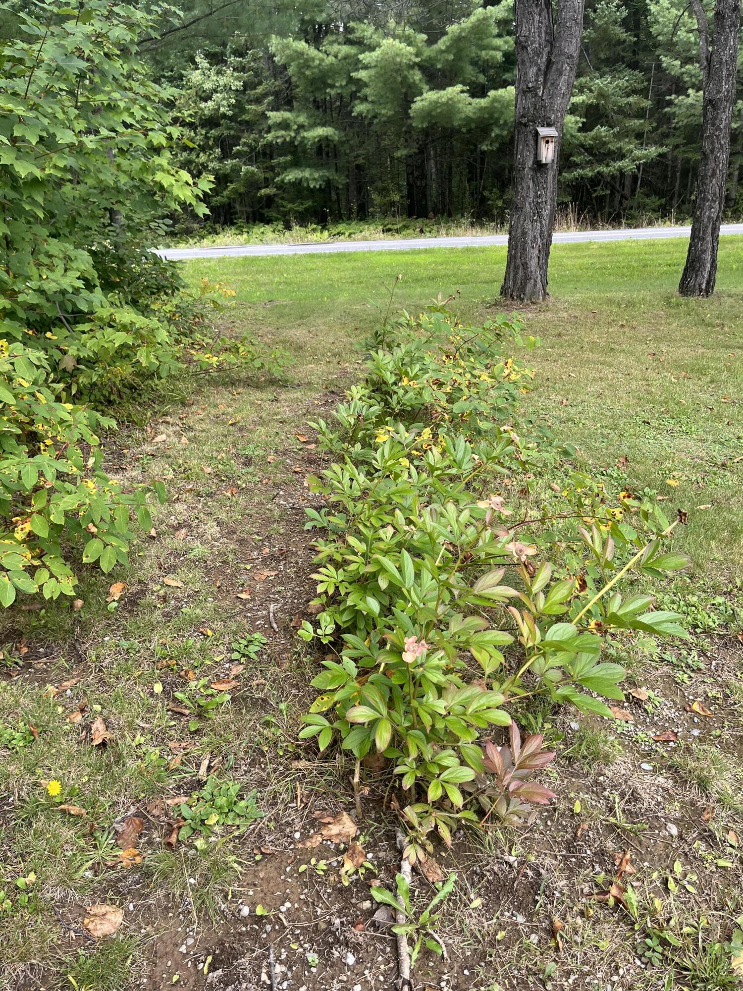 636 Crystal Road Crystal, ME 04747 - Photo 20 of 36 DD207517-BB9D-48CC-AFEB-2D93564608CB
