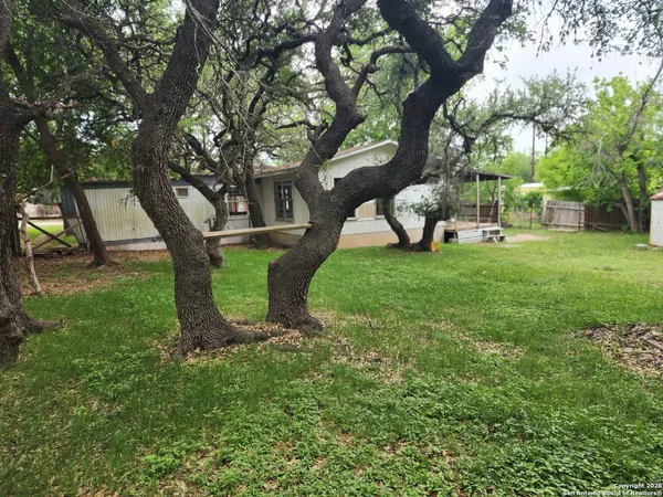 a view of a garden with a tree in the background