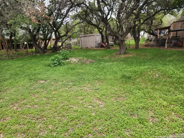 a view of a backyard with large trees