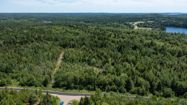 $34,900 | Lot 25 Lucas Lane, Whiting, ME 04691