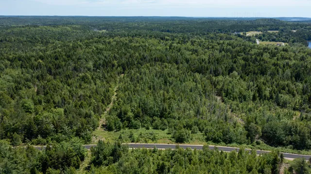 $34,900 | Lot 25 Lucas Lane, Whiting, ME 04691