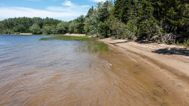 $34,900 | Lot 25 Lucas Lane, Whiting, ME 04691