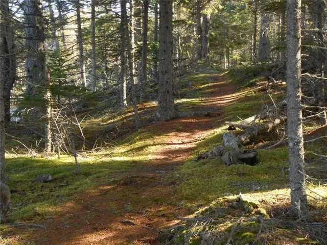 $34,900 | Lot 25 Lucas Lane, Whiting, ME 04691