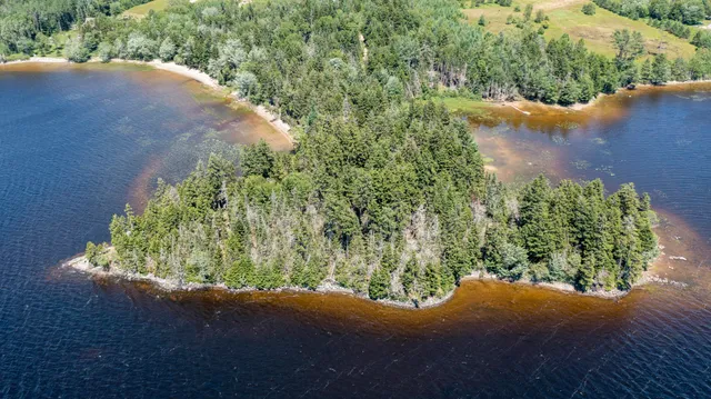 $34,900 | Lot 25 Lucas Lane, Whiting, ME 04691