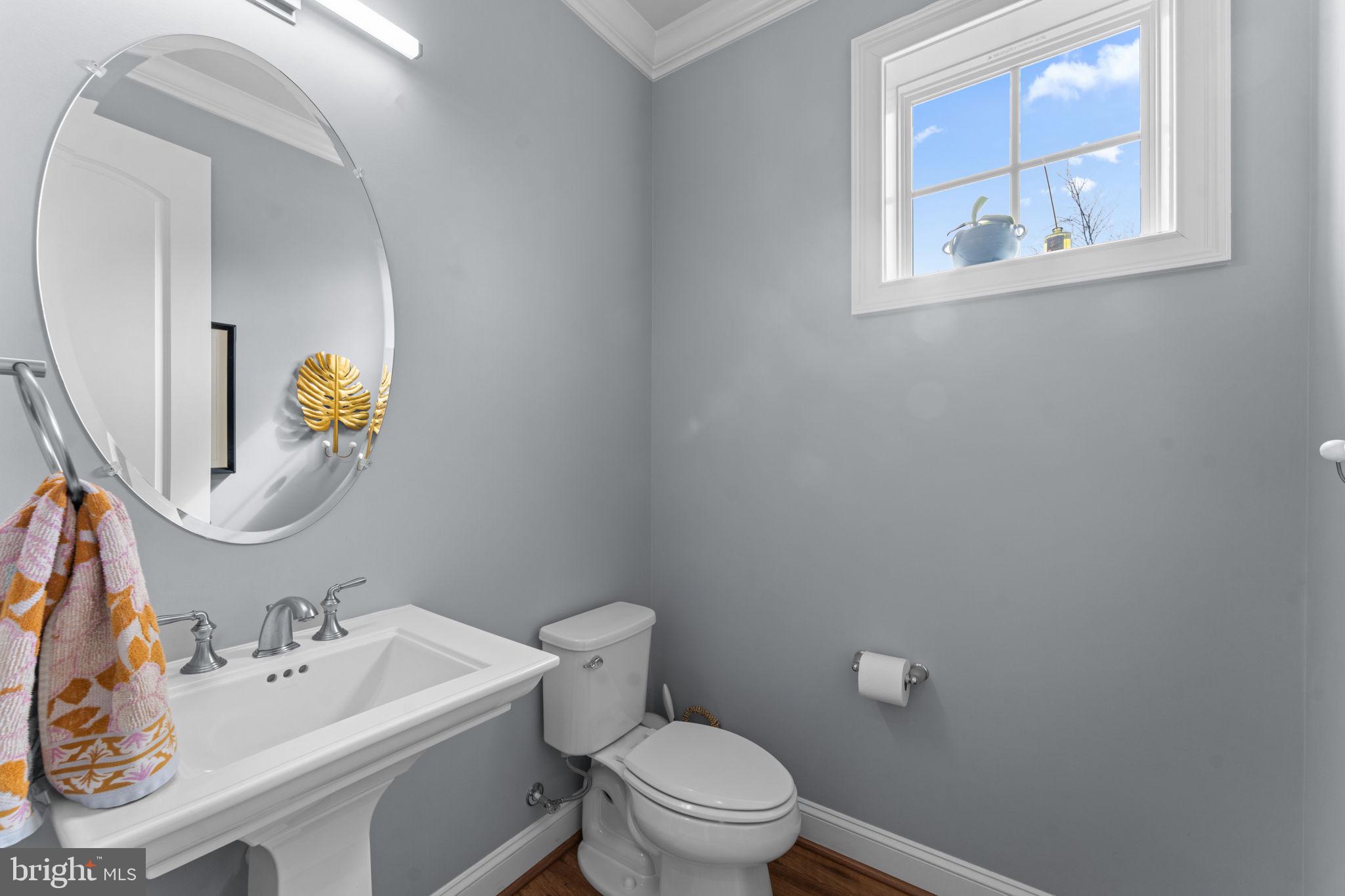 16756 Misty Ridge Lane Purcellville, VA 20132 - Photo 19 of 92 a bathroom with a toilet a sink and mirror