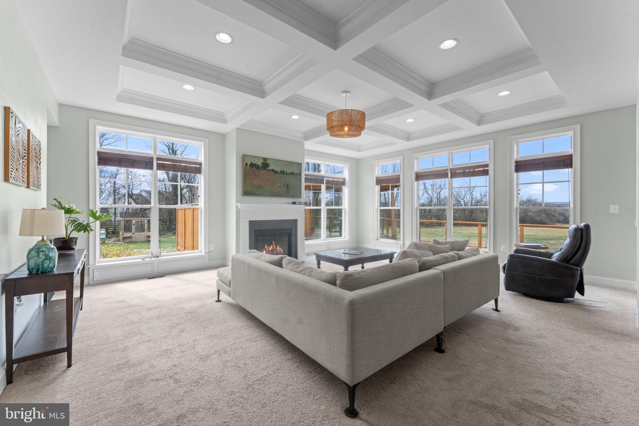 16756 Misty Ridge Lane Purcellville, VA 20132 - Photo 20 of 92 a living room with furniture and a fireplace