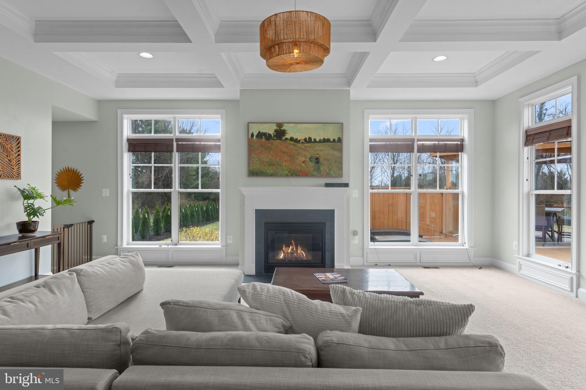 16756 Misty Ridge Lane Purcellville, VA 20132 - Photo 24 of 92 a living room with furniture and a fireplace
